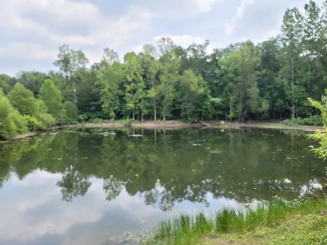 Hilda J Young Conservation Area East