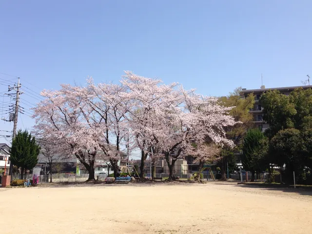 Nakamachi Park