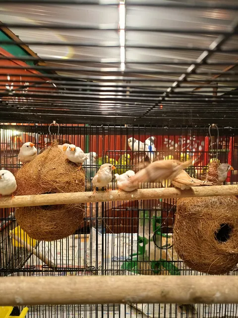 Chickpet Donne Biryani House - Vizag