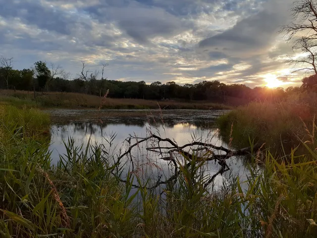 The Paul H. Douglas Center for Environmental Education