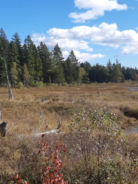 Wells Recreation Park