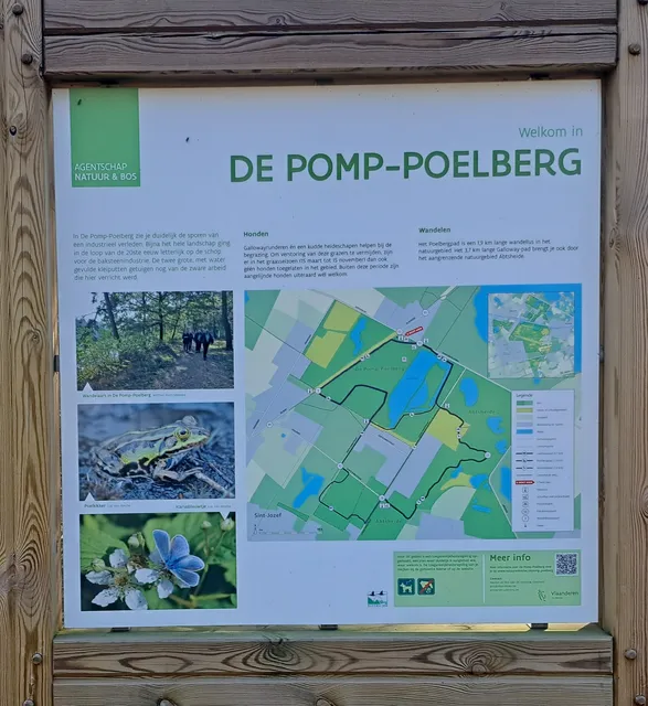 photo-1