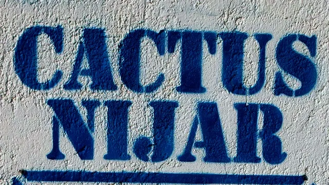 Cactus Níjar