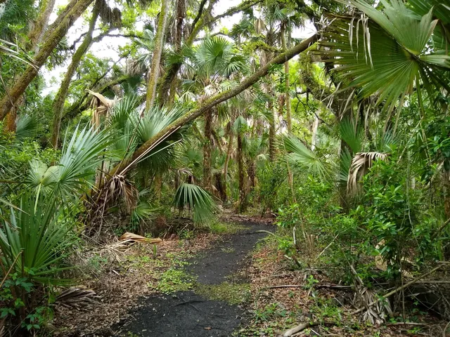 Pepper Ranch Preserve