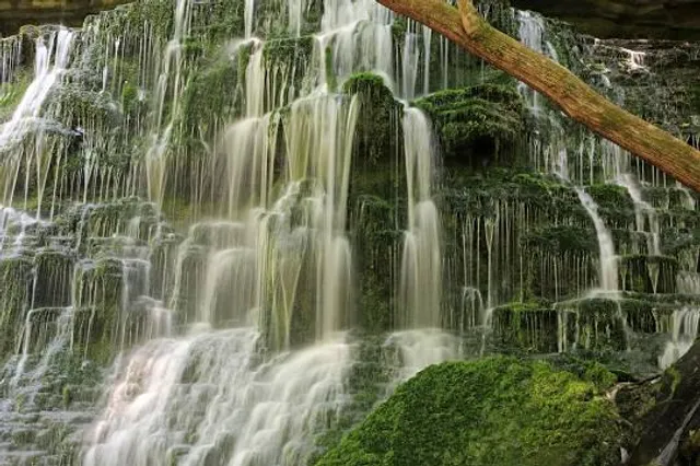 Short Springs Natural Area