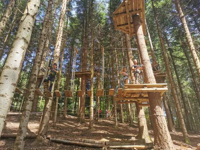 Accroche toi aux branches