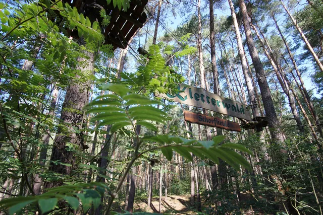 Kletterwald Schorfheide