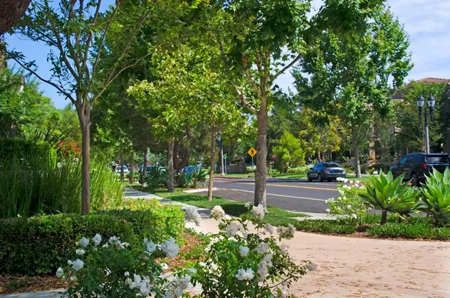 Aliso Viejo Community Park