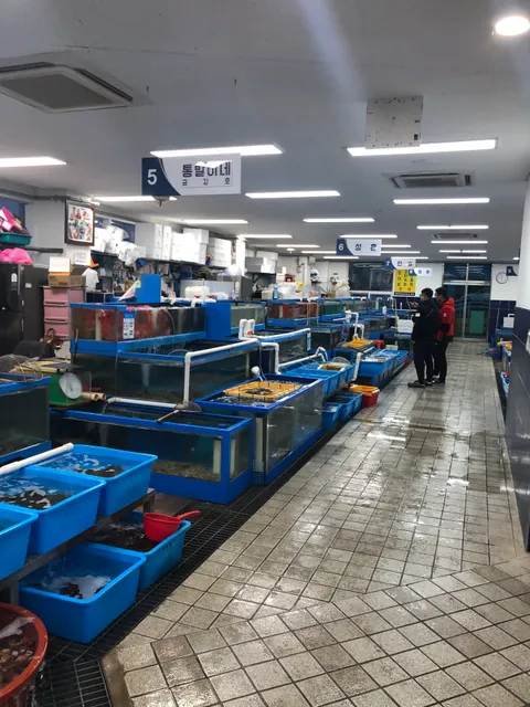 강릉항활어회센터청해