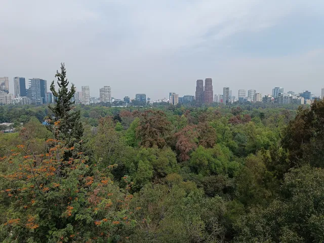 Bosque de Chapultepec