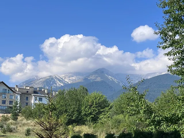 Paradiso Verde (Green Life)