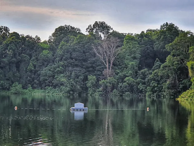 Upper Peirce Reservoir Park