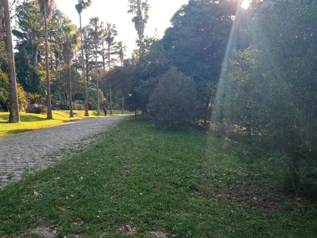photo-3