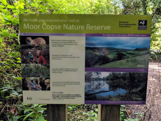 Moor Copse Nature Reserve