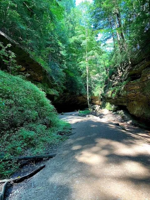 Trail #3 at Turkey Run State Park