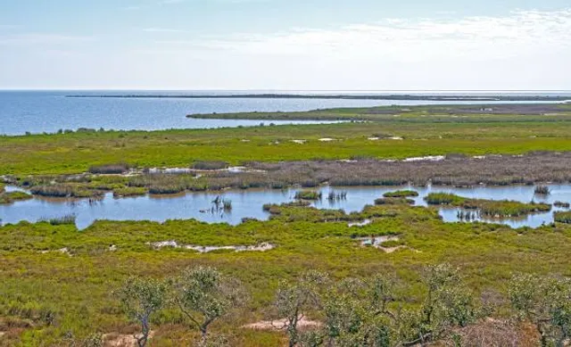 Aransas National Wildlife Refuge