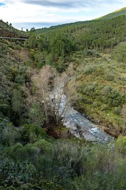 Maja Robledo (Majá Robréu)