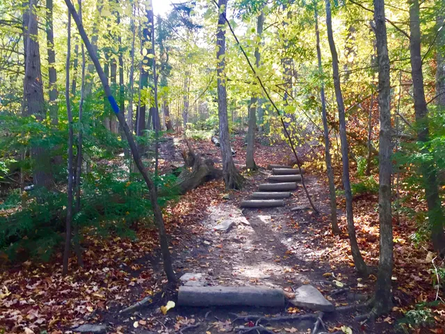 Village Way Trail - Blue Mountain