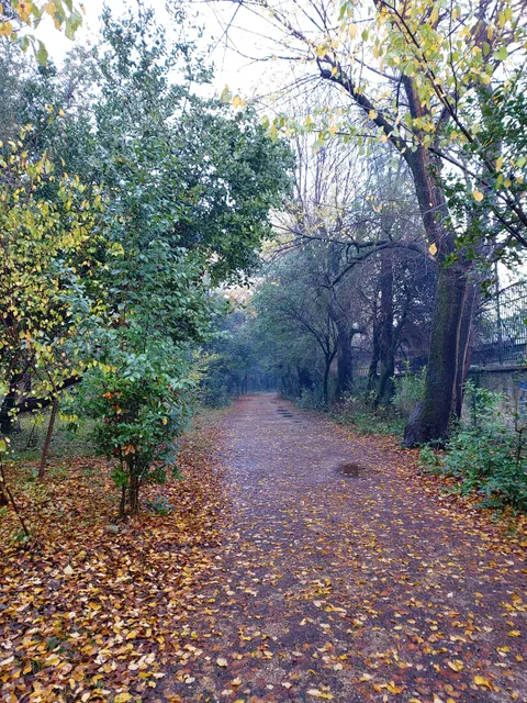 Municipal Park