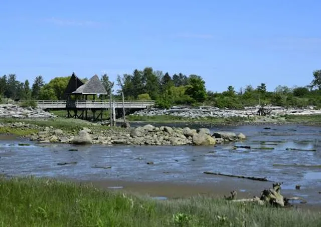 photo-2