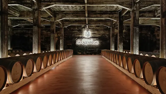 Bodegas Manzanos Haro wines