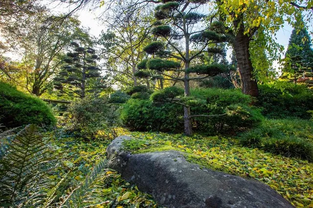 Loki-Schmidt-Haus - Museum für Nutzpflanzen