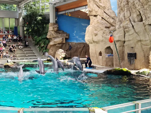 Delfinarium Zoo Duisburg