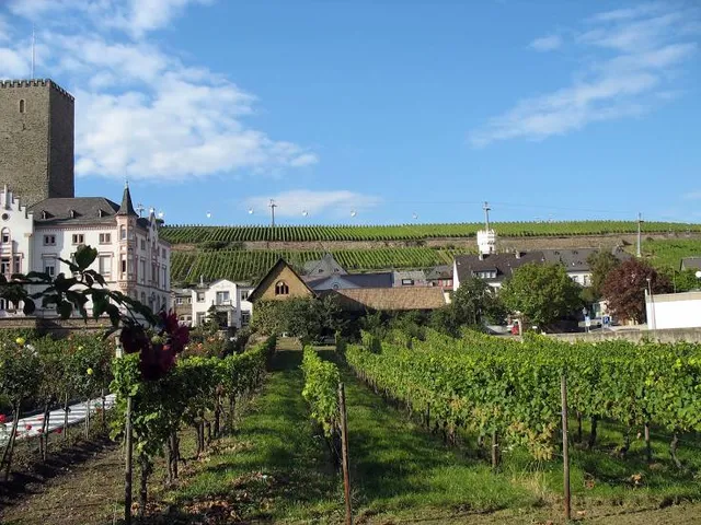 Siegfried's Mechanical Museum