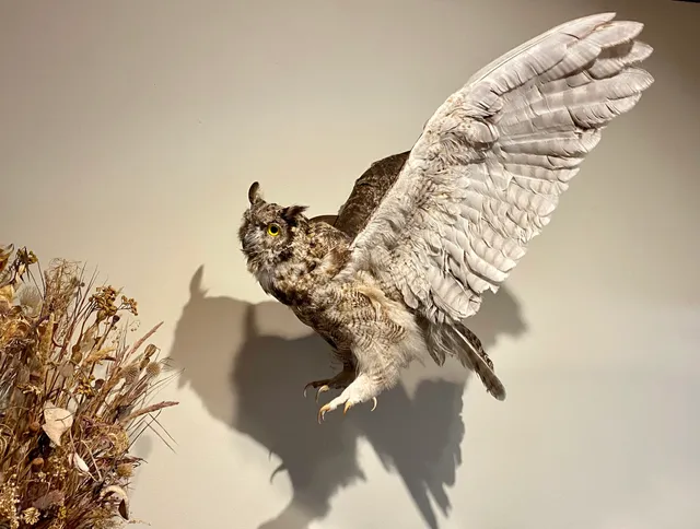 The Museum & Archives of Vernon