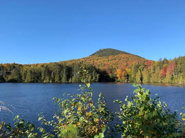 The Forks Plantation