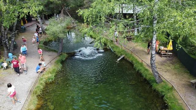La pêche à la truite
