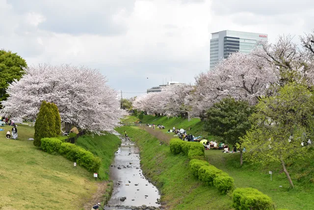 Kanagawa Prefectural Sagami Sansen Park