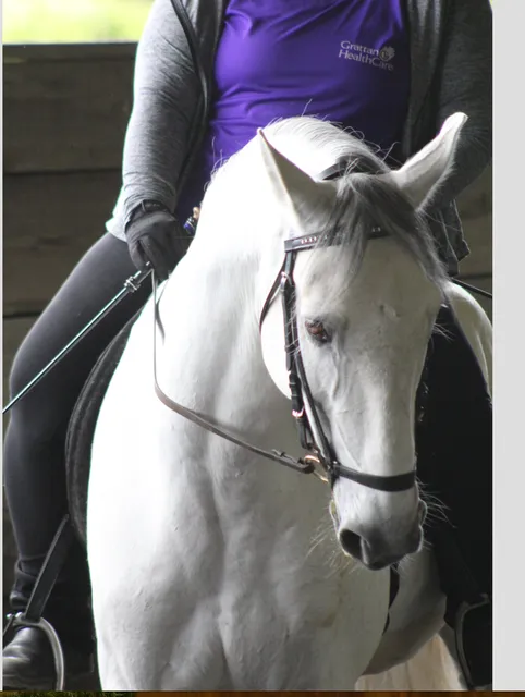 Spirit Horse Center Inc.