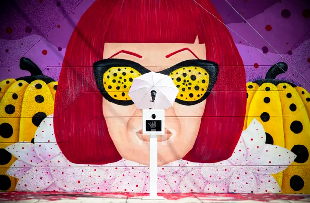 VIP Party Photo Booth LLC.