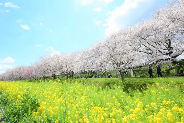 Gongendo Park - Park #3