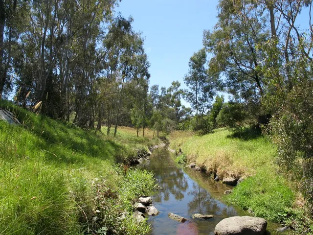 Darebin Creek