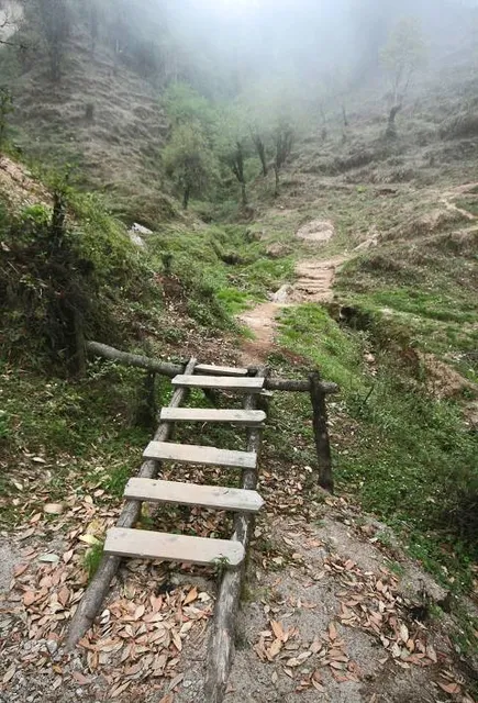 Sandakphu West Bengal