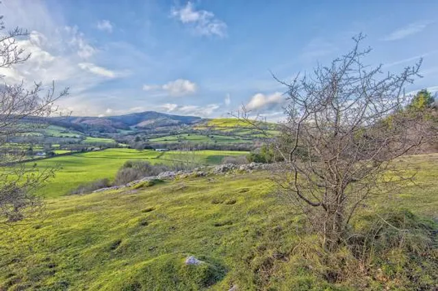 Loggerheads Country Park