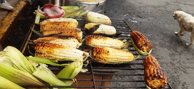 ELOTES Y ESQUITES "MORENO"