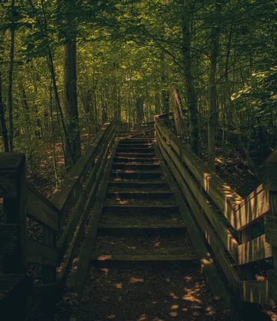 Hemlock Bluffs Nature Preserve