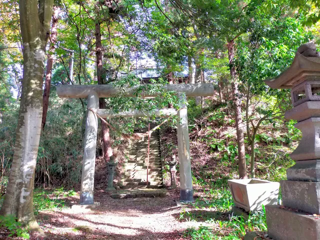 photo-1