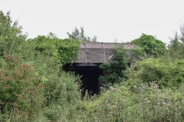 Batteries of Mont Canisy