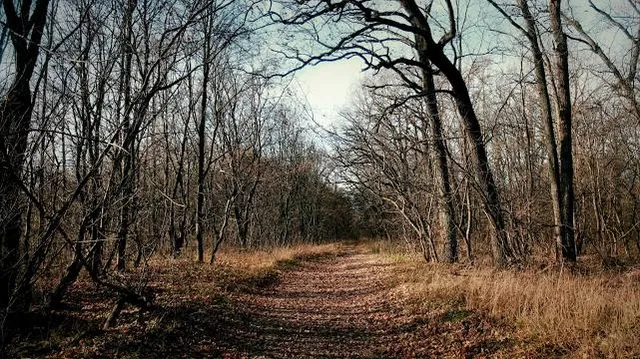 Visitor Center Ceala