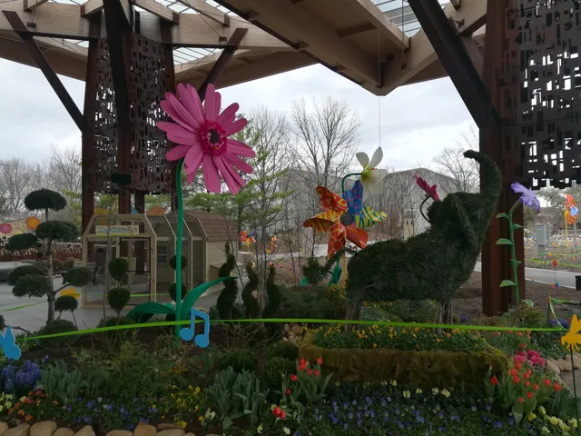 Kōmbo Family Coaster