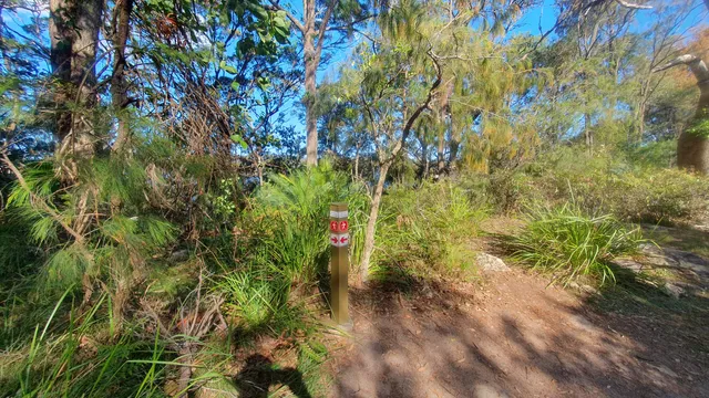 Patonga to Pearl Beach walking track