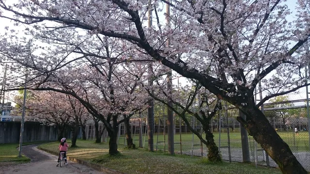 Jigenjihigashi Park