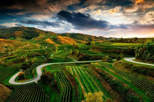 Vogtsburg im Kaiserstuhl