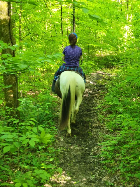 Maple Springs Trailhead