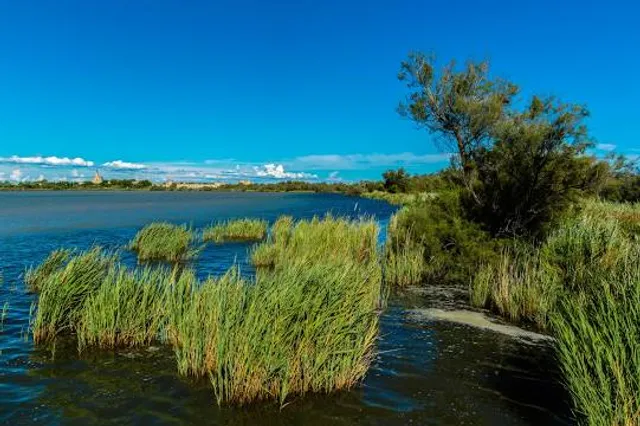 Étang de la Marette