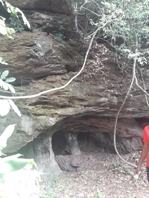photo-1